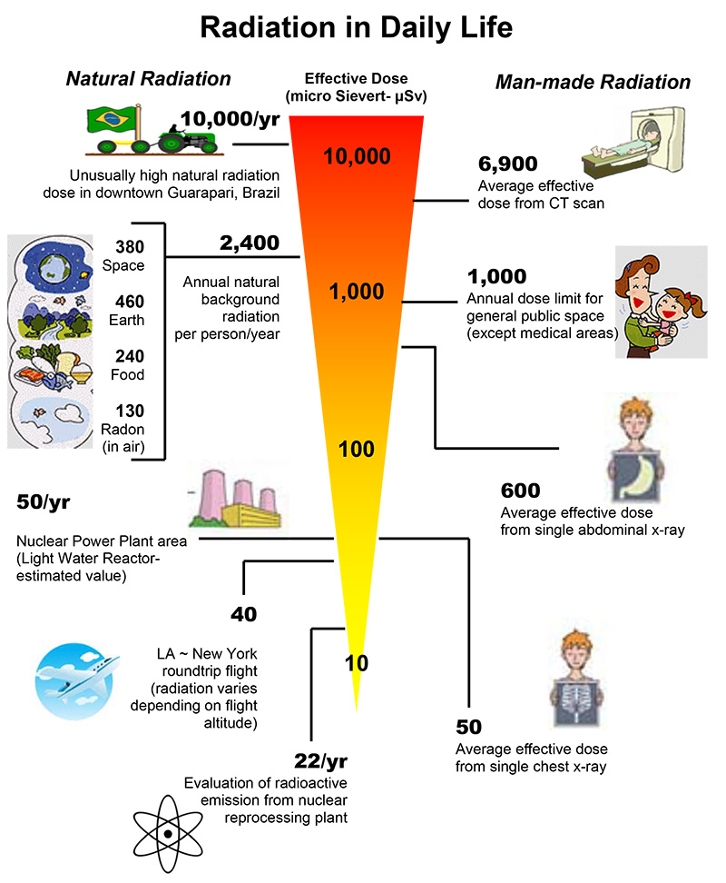 Radiation dose for common things in every day life