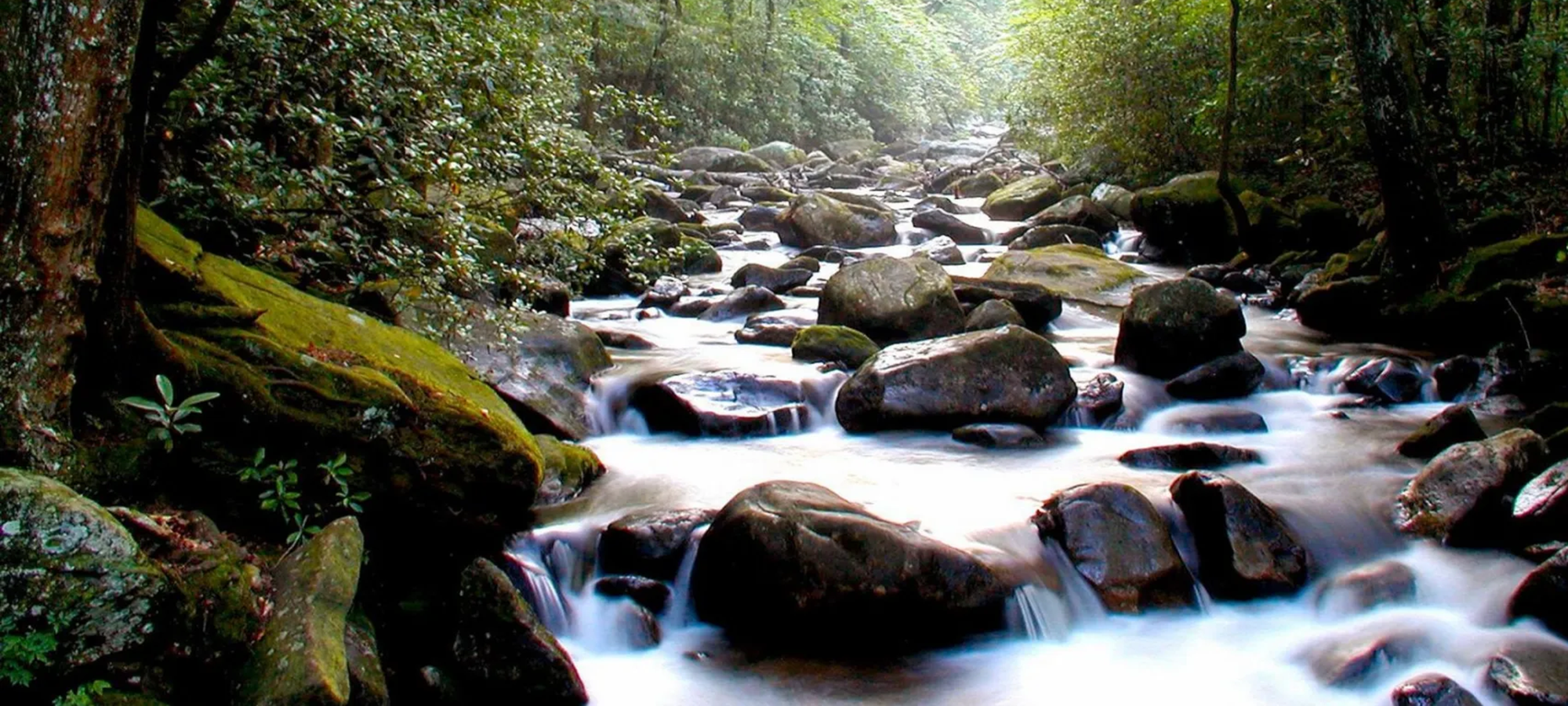 image of river